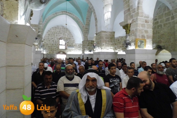 jom3aludwahbany (20).JPG